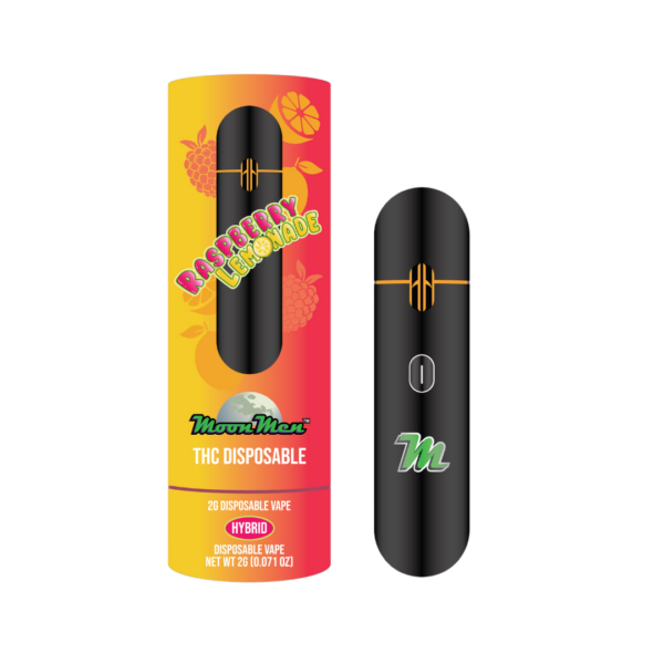 Disposable Vape - Raspberry Lemonade (Hybrid, 2G)